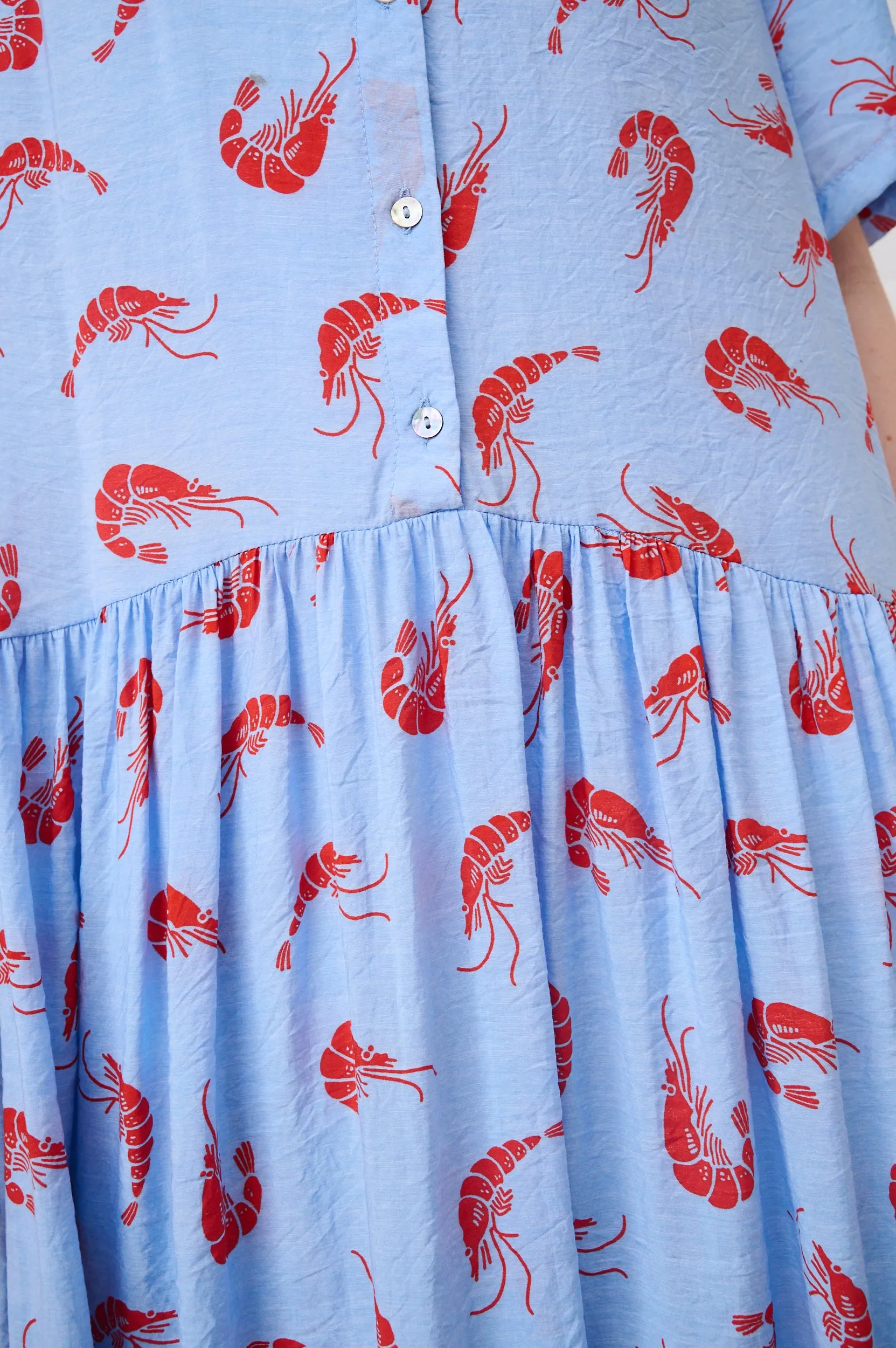 The Dropped Waist Shirtdress in Prawn Print BiasCut Trims Zen Glow