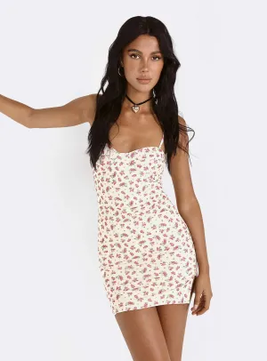 Evening Glow Belladonna Mini Dress Pink Multi / Floral