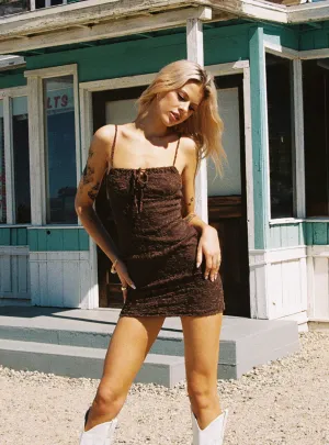 Corrino Lace Mini Dress Brown Youthful Chic