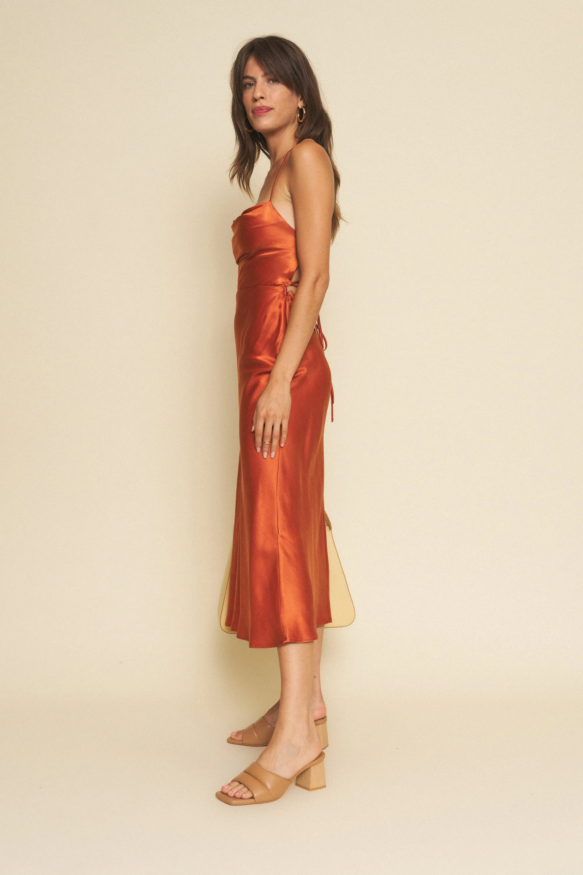Train Ease Camille Dress - Rust
