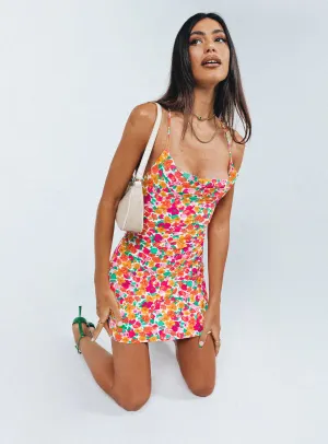 Celena Mini Dress Rainbow Floral Style Pop